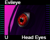 Evileye Head Eyes