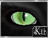 Kth Cat Eyes Rgg