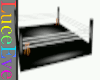 Champs Boxing Ring
