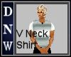 Men's VNeck Shirt