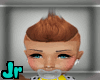 Ginger Hawk