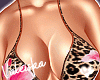 VK~Tropical Set V