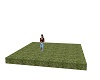 grass floor