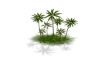 Palm3