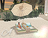Paradise Island Lounge