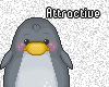 A Cute Penguin <3