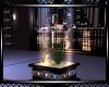 *Infinity Fish Tank