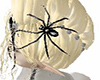 Black Spider on Head