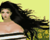 Animated windy black