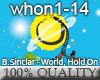 B.Sinclar - WorldHoldOn