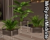 Loft Plants
