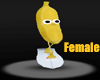Banana Surfista FEM