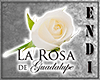 Rosa de Guadalupe Sounds