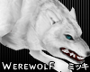 ! White Werewolf Animate