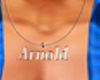 'Arnold' Necklace