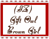 (IZ) Gift Owl  Brwn Girl