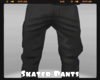 *Skater Pants