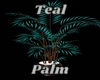 Teal Palm