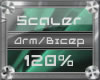 (3) Arm/Bicep (120%)