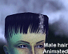 hair Frankenstein ANI  M