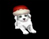Christmas White Puppy