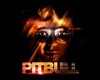 Pitbull - Shake Senora