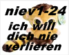 dich nie verlieren