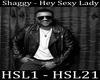 SHAGGY - Hey S Lady.