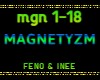 MAGNETYZM