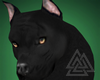 Black Pit bull Pet