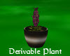 [LH]DERIVABLE PLANT 