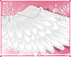 𝓼. blessed wings ♡