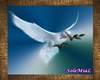 [SL] Paloma de la paz
