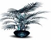 Scorpio Plant