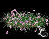 xo*Blooming Flowers Box