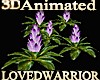 5 Animated Bromeliads 11