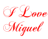 I Love Miguel Custom