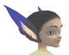 Feliox Blue black ears