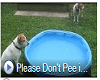 Dont Pee in my pool