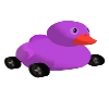 |CR|Purple Duckie