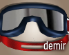 [D] Ski glasses