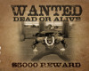 !A! Wanted 