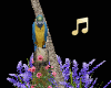 nu | Parrot Palm w/Radio