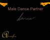 MALE DANCE PARTNER