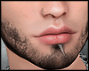 s. Beard Asteri AC3