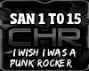 req. A Punk Rocker