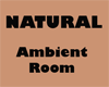 FX Natural Ambient Room