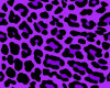 purple  animal print 