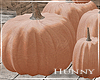 H. Pumpkins Terracotta 2