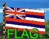 HAWAIIAN FLAG